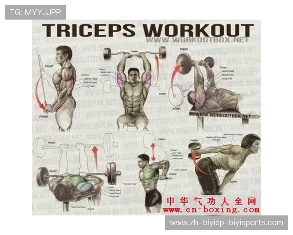 飞鸟健身器材:飞鸟训练器材的特点与肌群针对性讲解