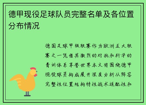 德甲现役足球队员完整名单及各位置分布情况